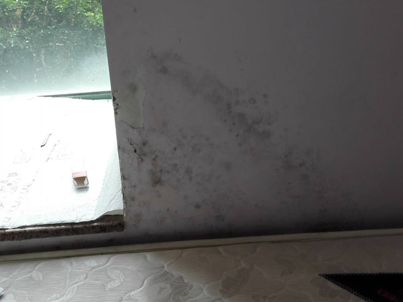 杭州屋頂防水用哪種材料好，杭州屋頂防水多少錢一平