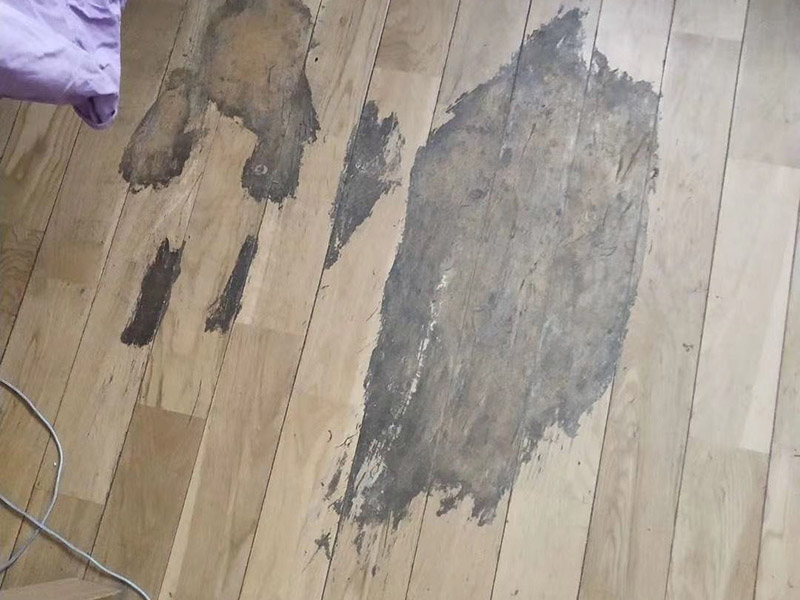 地板局部修復:如果局部破損嚴重則需要先將需更換的地板破壞掉，然后徹底取出。 （1）先用工具將要更換的地板短邊處鑿出一個縫隙，再用鋸將需更換的地板表面鋸開；然后將分成小片的地板取出，但一定要保證不破壞周圍的地板； （2）然后將拆下的地板周圍的膠水清理干凈，并保證清理好的榫槽便于安裝，如果清理不徹底，接縫會不平或不嚴。可以用有新榫頭小片地板在接口上來回滑動，找出殘留膠跡并清除，以保證修復后的地板美觀，同樣需要注意的是不要損壞周圍的榫槽； （3）接下來處理新地板，鋸掉新地板槽口一邊的下半部分并清理干凈整個榫槽，注意預留一些空間，因外涂抹膠水后會占用一定的空間； （4）最后將新地板安裝到需要替換的位置，將原四周地板榫頭涂滿膠水，并在新地板榫槽處也施上膠水，然后放在起下廢板塊的空隙處，先將長邊榫舌與短邊榫舌的一角嵌入原四周地板的槽口邊，再用手按下槽口一邊，并墊木塊以專用工具輕輕砸入，注意安裝前先比一下長度是否一致，如果新板長了，可以修短一點，短了就只有拆裝整條地板了。