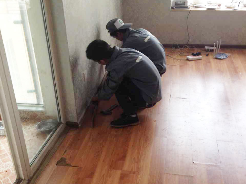 老化了的地板如何翻新，保養得當可延長